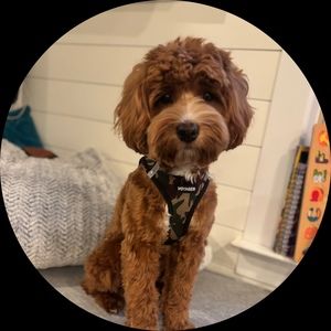 Meet your Posher, Hashini